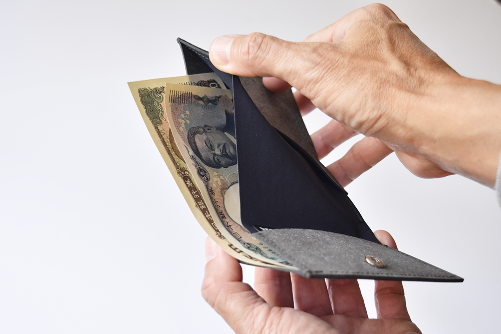Compact Wallet 01
