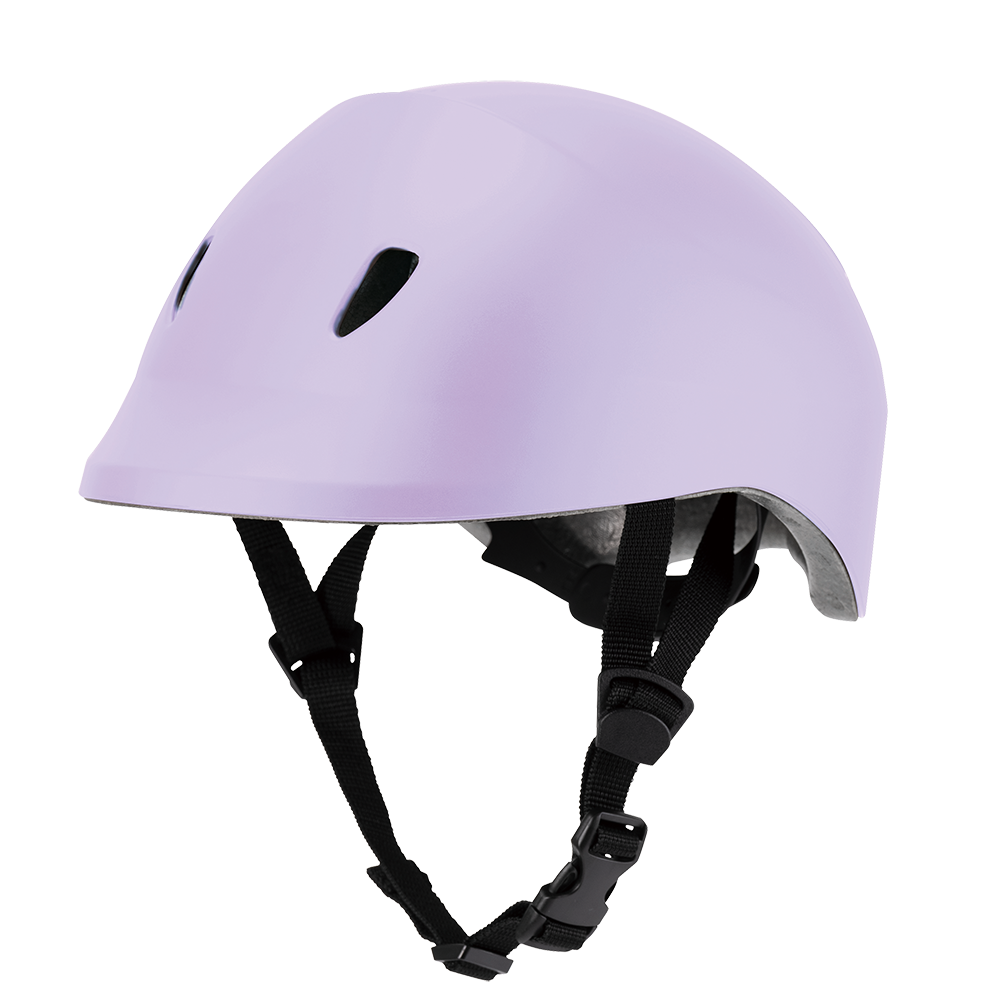 dolphin SM